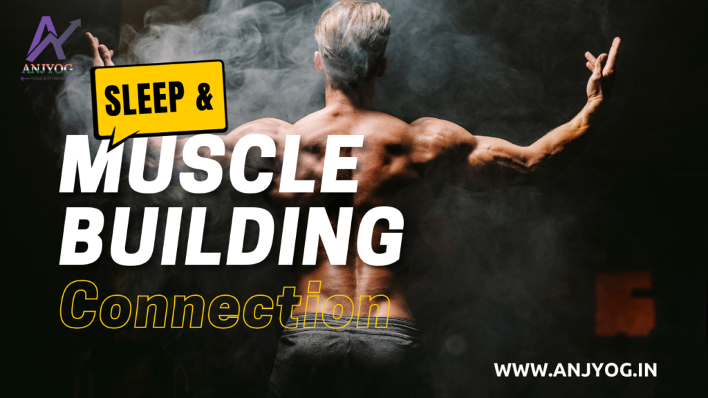 sleep & Muscle Building Connection